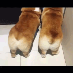 하악