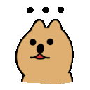 쿠카